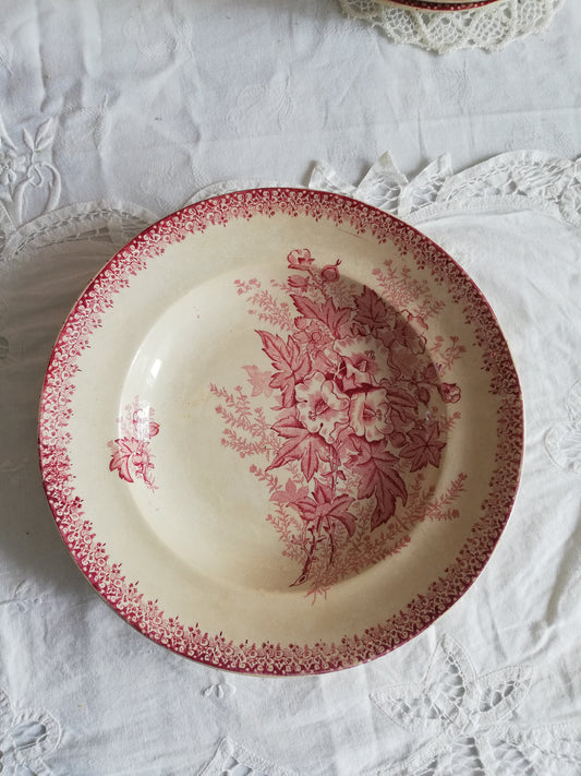 Assiette creuse Eglantine Onnaing