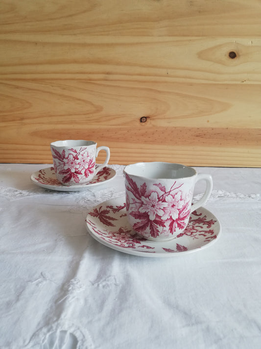tasse anemone saint amand terre de fer
