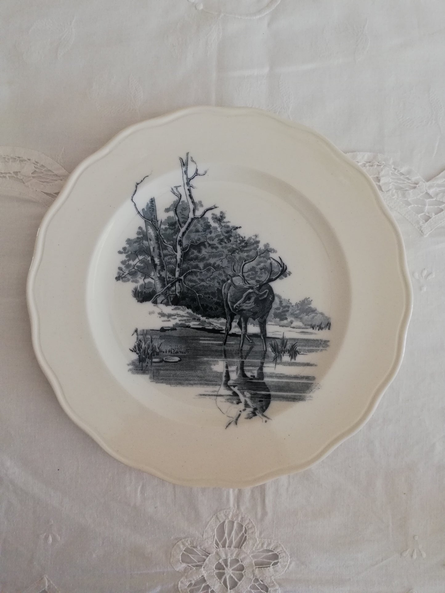 le cerf se voyant dans l eau ironstone plate BWM