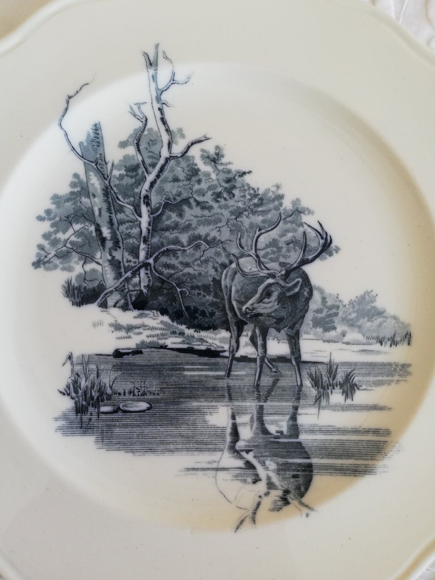 Assiette BWM Fables