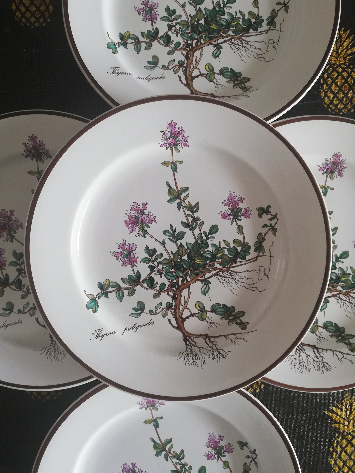 Assiette Botanica Villeroy et Boch