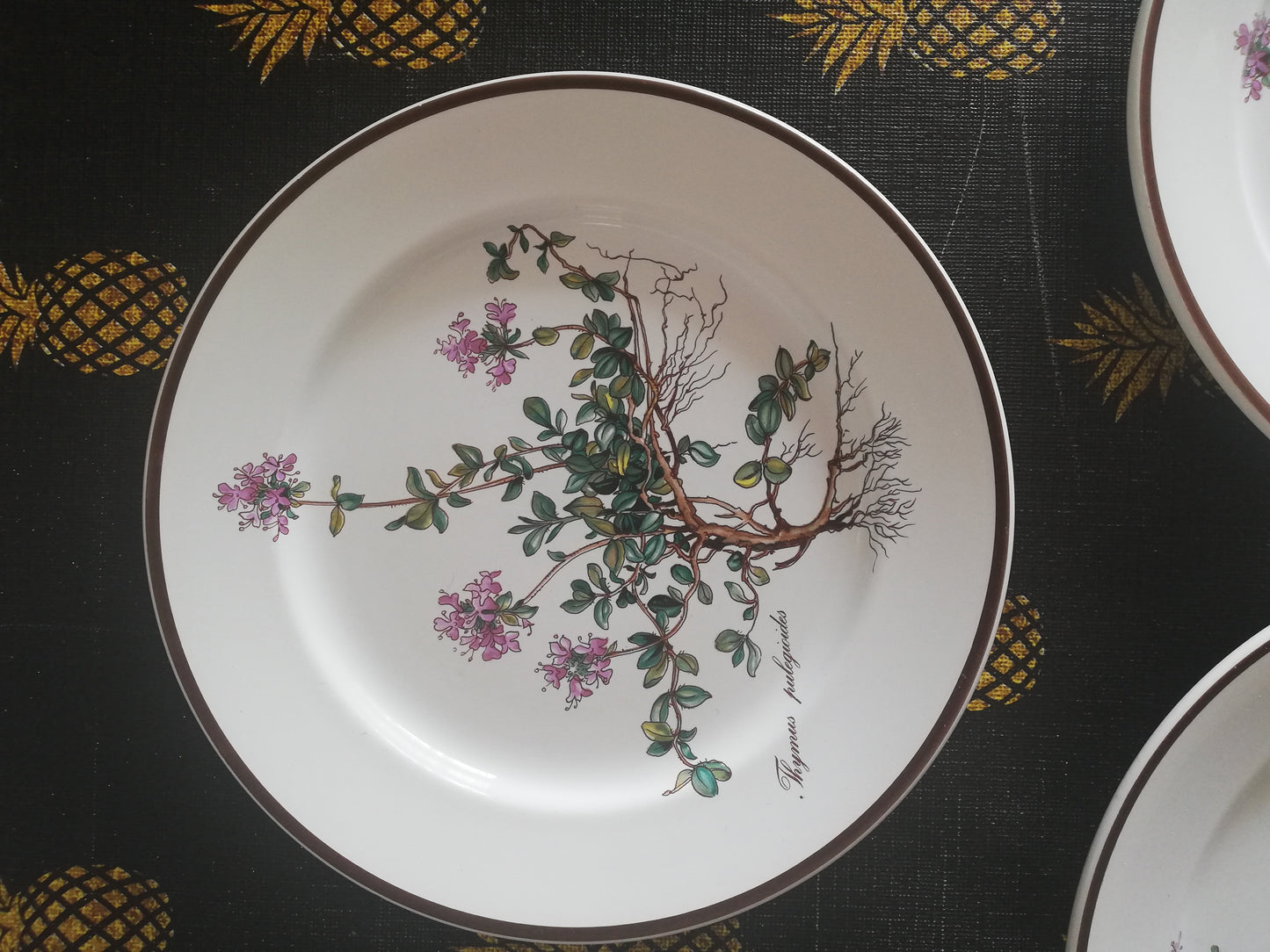 Assiette Botanica Villeroy et Boch