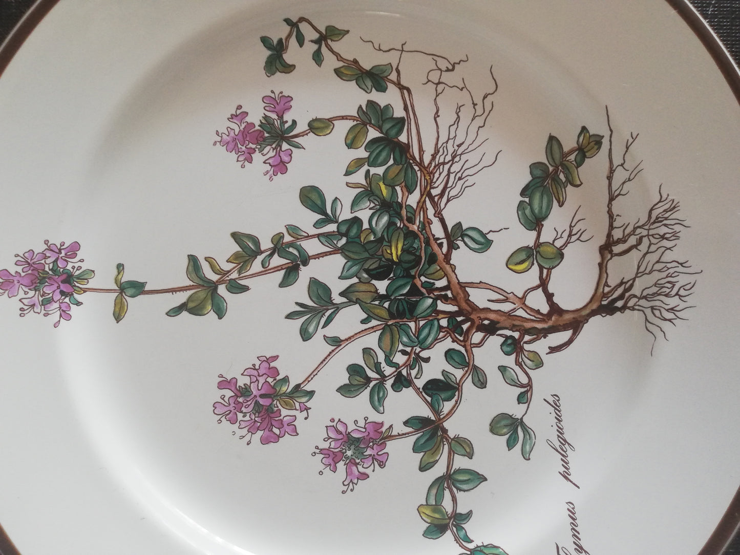 Assiette Botanica Villeroy et Boch