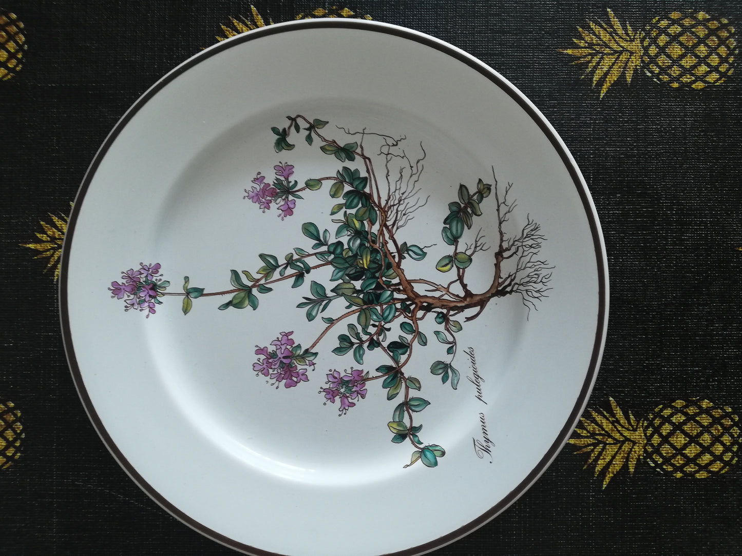 Assiette Botanica Villeroy et Boch