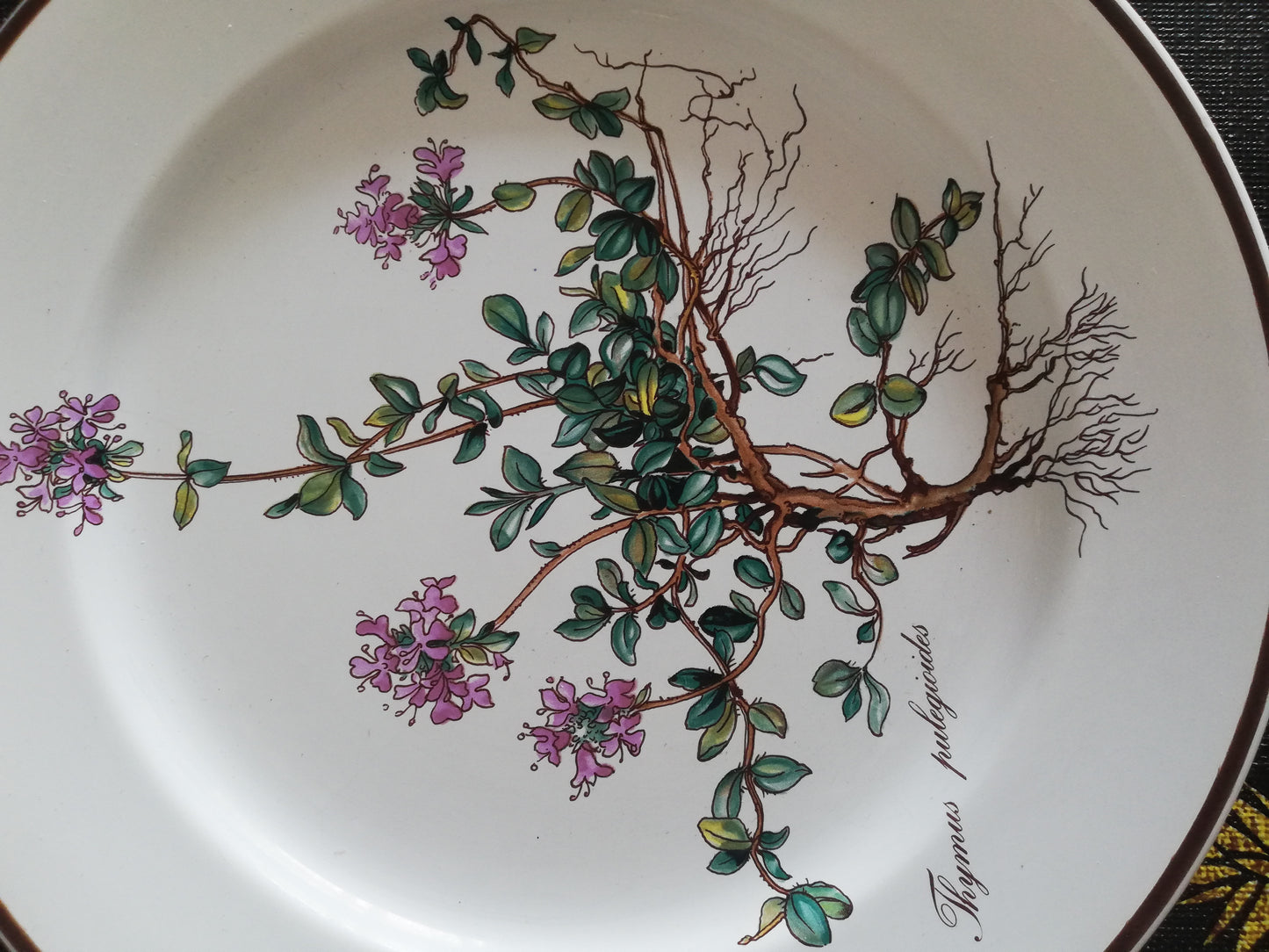 Assiette Botanica Villeroy et Boch