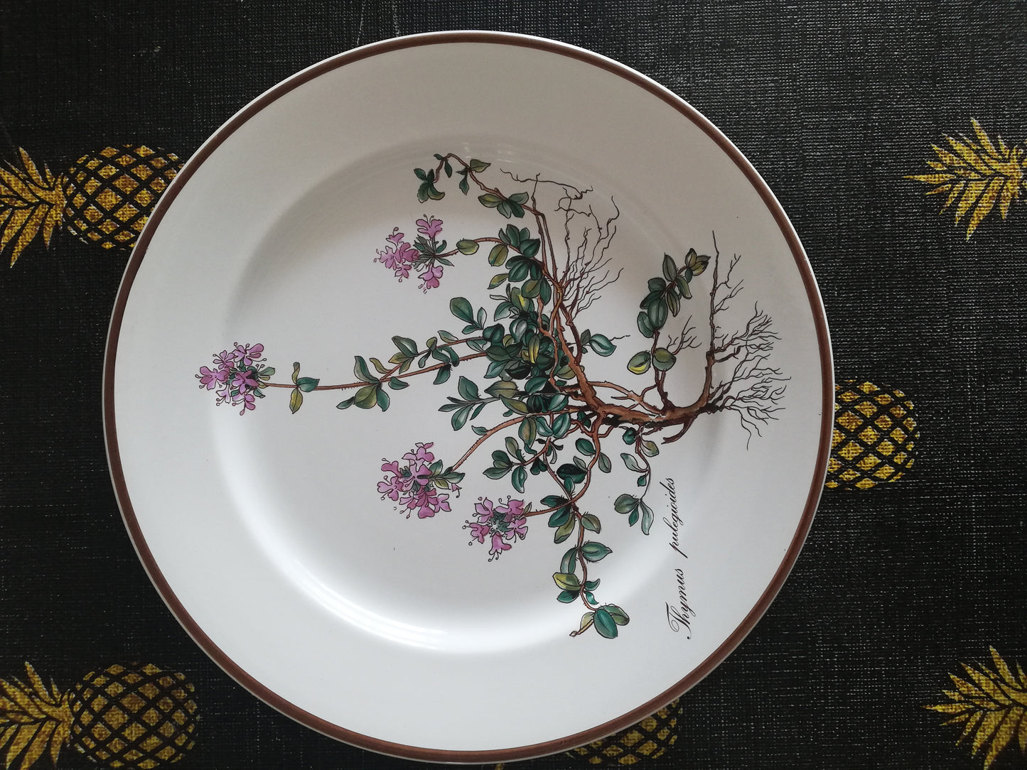 Assiette Botanica Villeroy et Boch