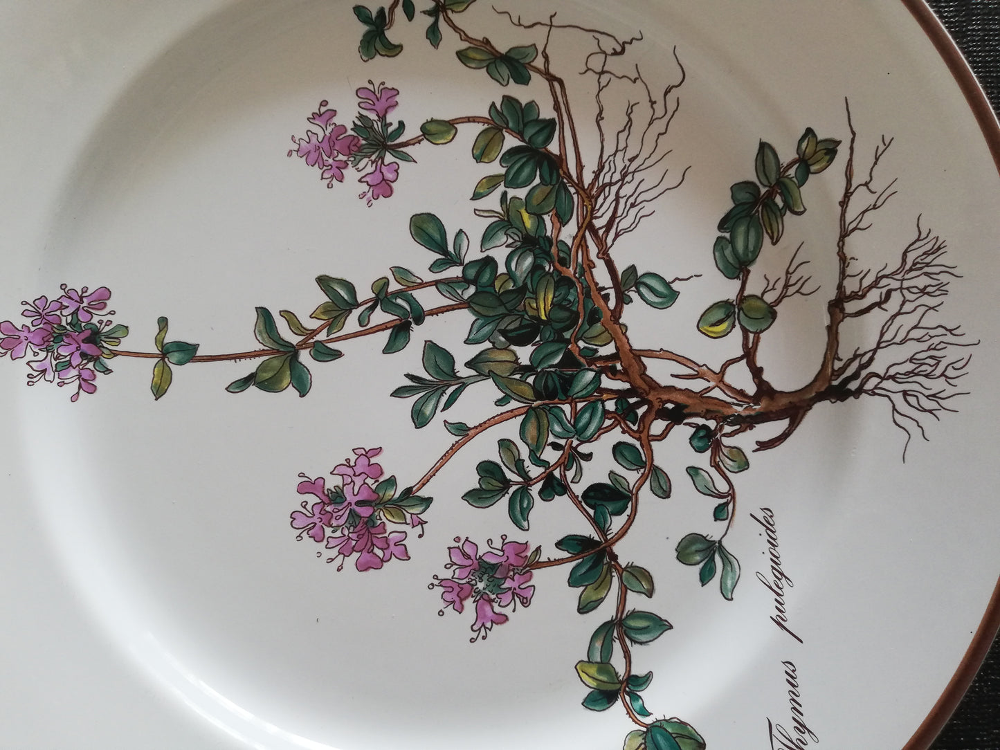 Assiette Botanica Villeroy et Boch