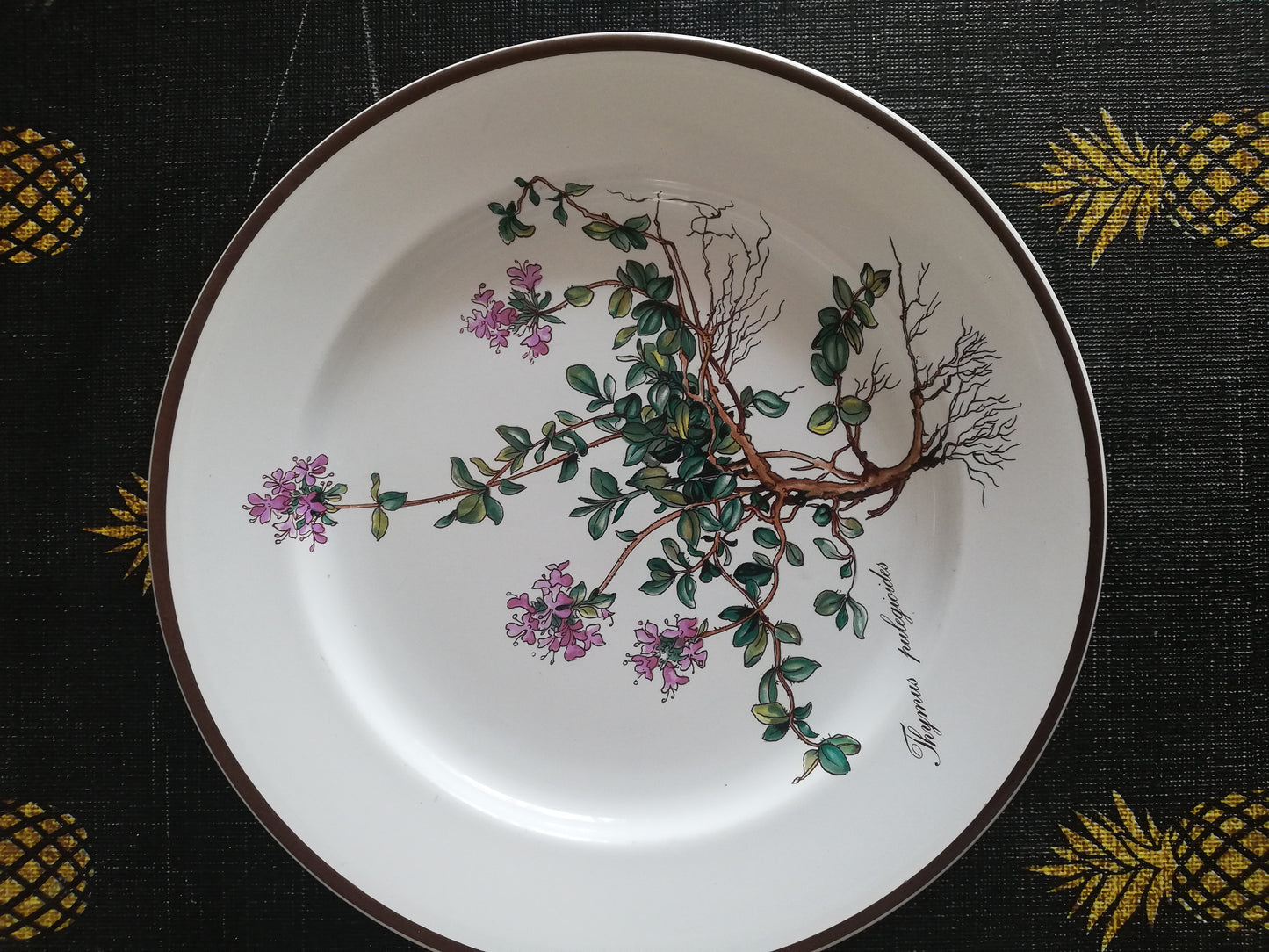 Assiette Botanica Villeroy et Boch