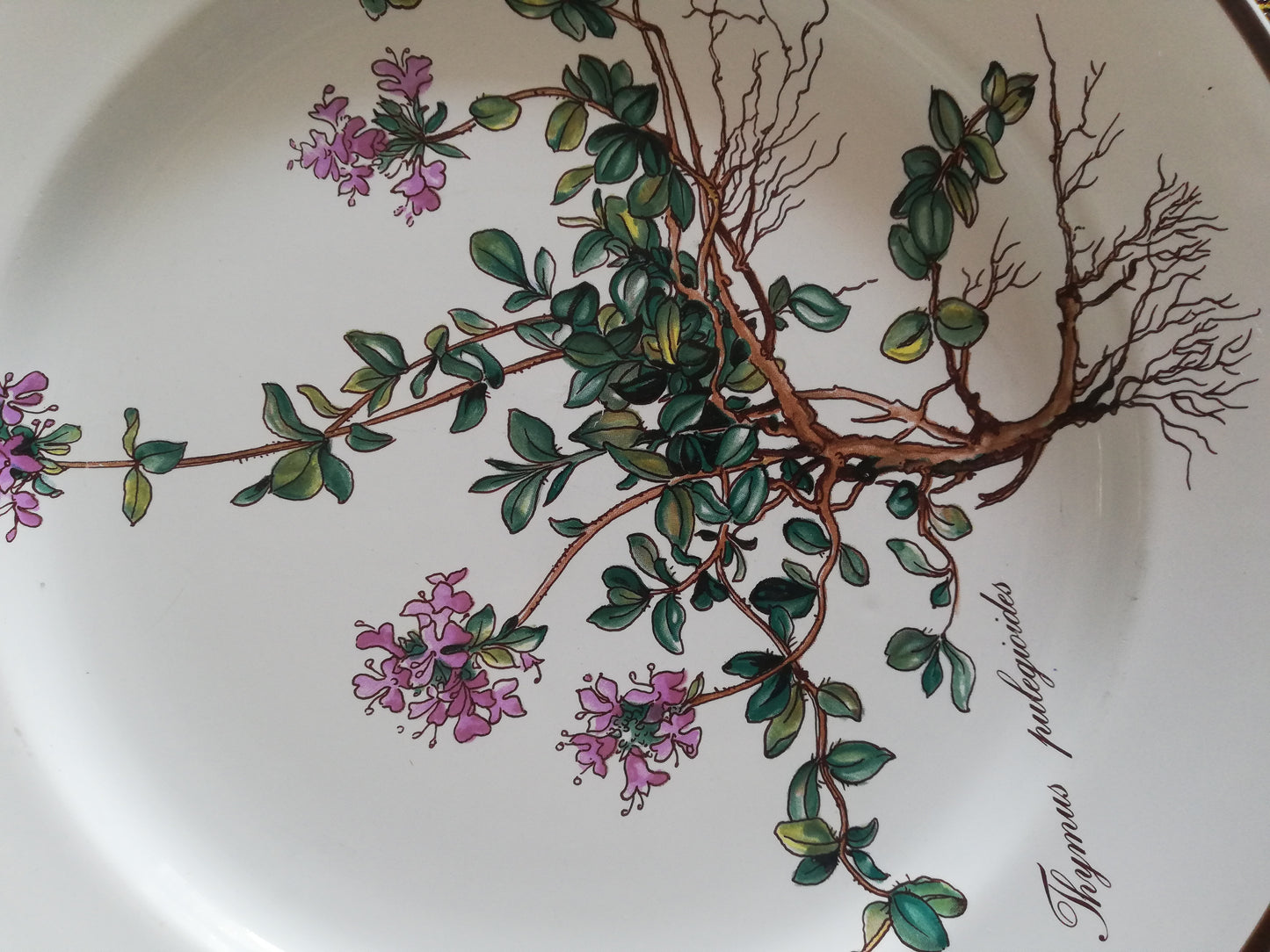 Assiette Botanica Villeroy et Boch