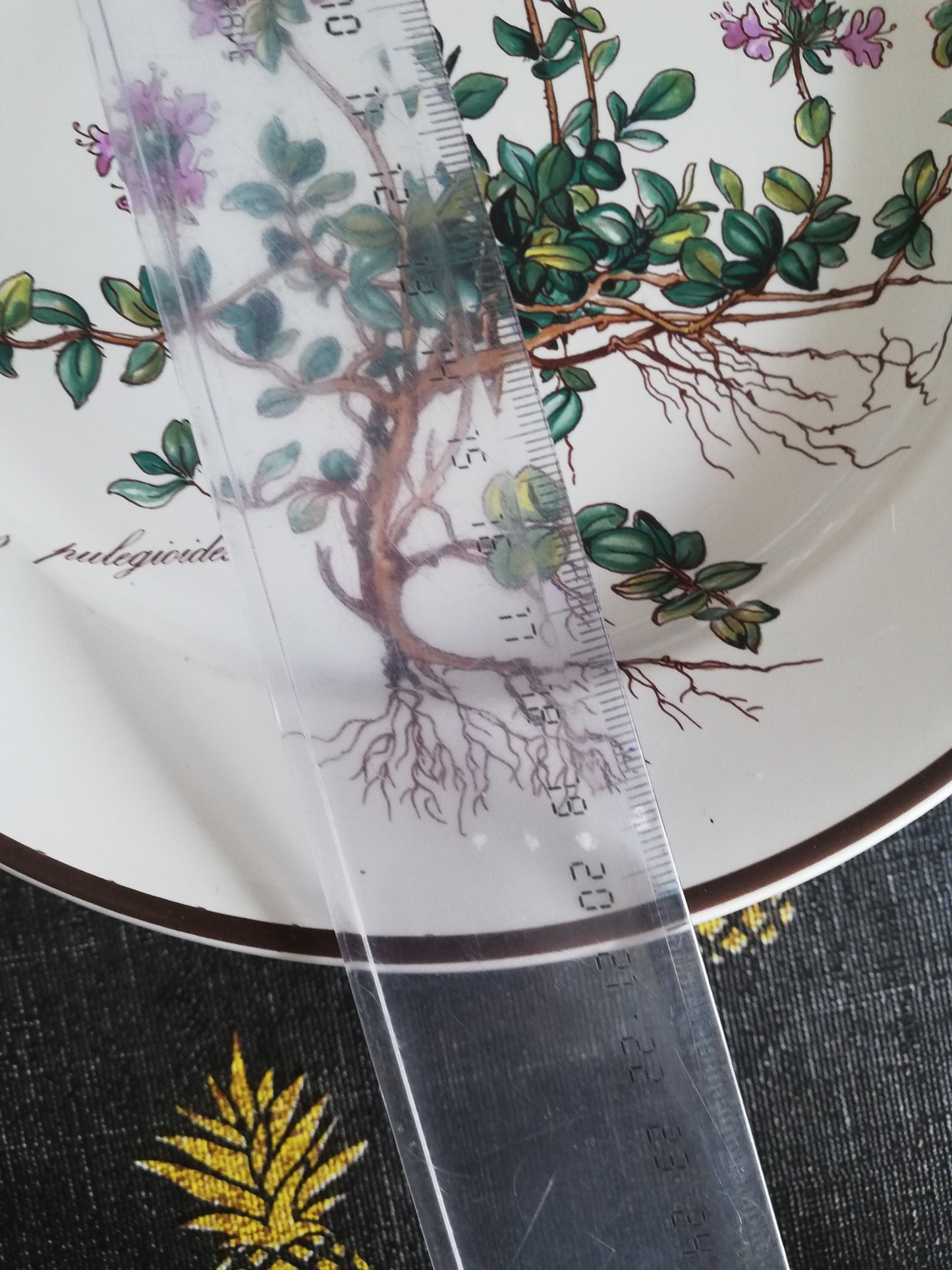 Assiette Botanica Villeroy et Boch