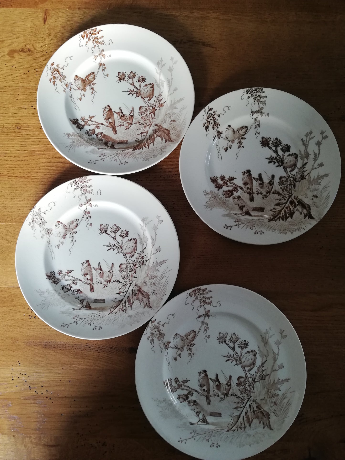 Assiettes Chardonneret Creil et Montereau