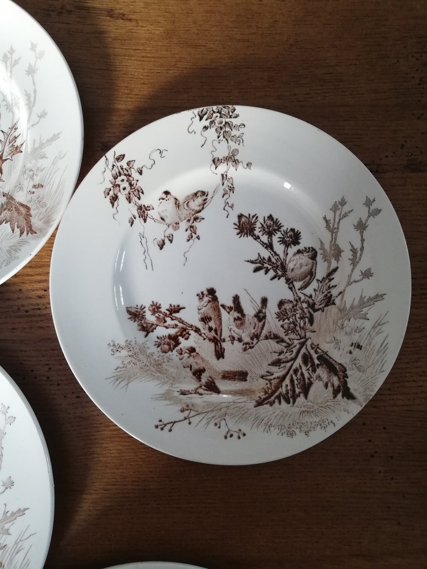 Assiettes Chardonneret Creil et Montereau