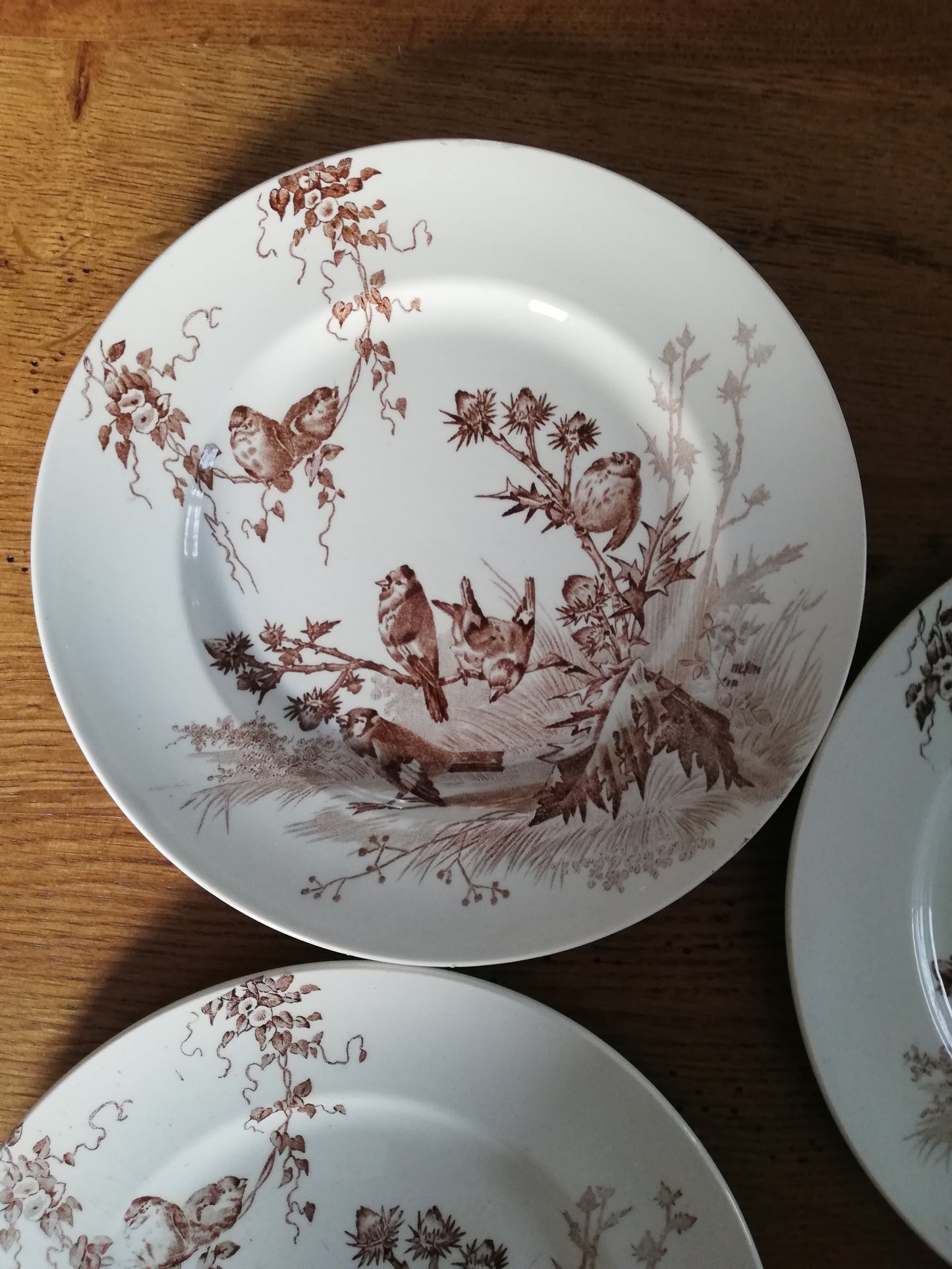 Assiettes Chardonneret Creil et Montereau
