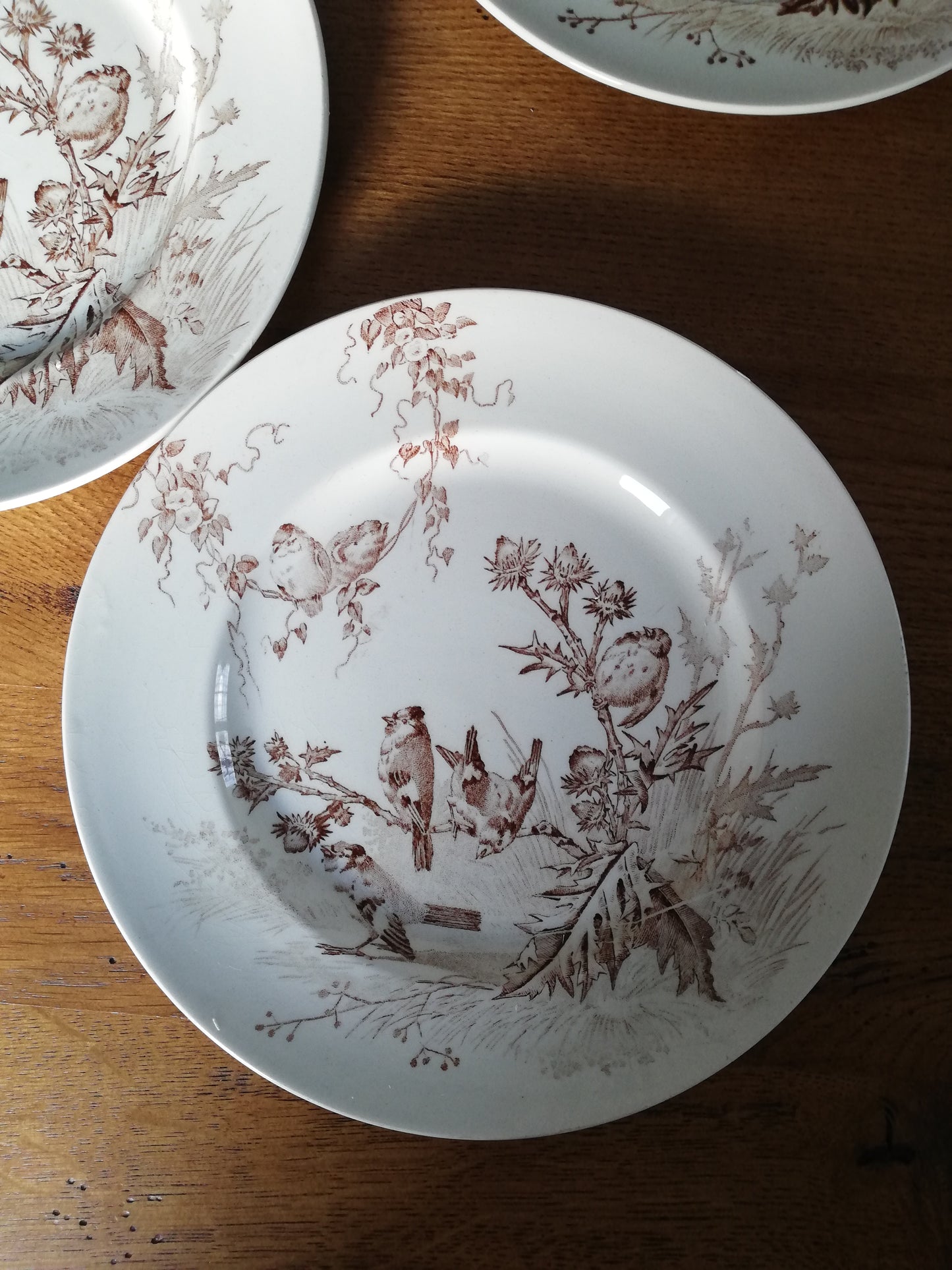 Assiettes Chardonneret Creil et Montereau