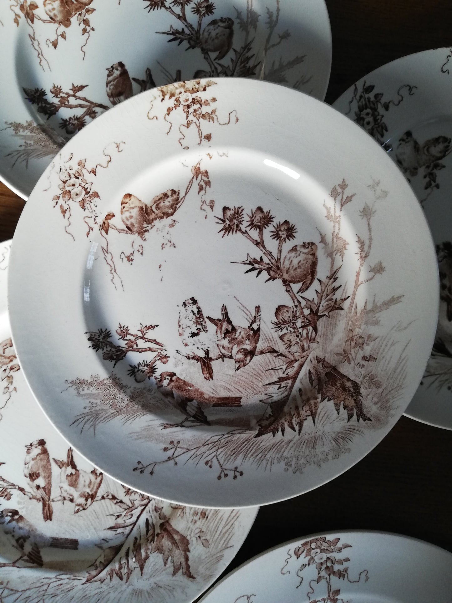 Assiettes Chardonneret Creil et Montereau