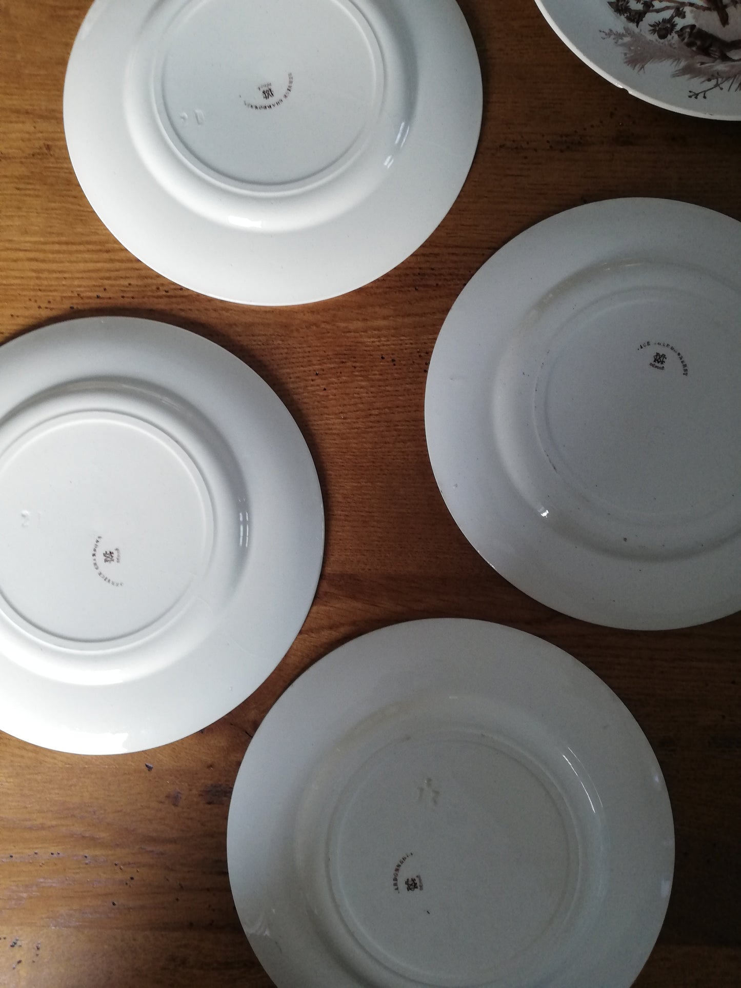 Assiettes Chardonneret Creil et Montereau