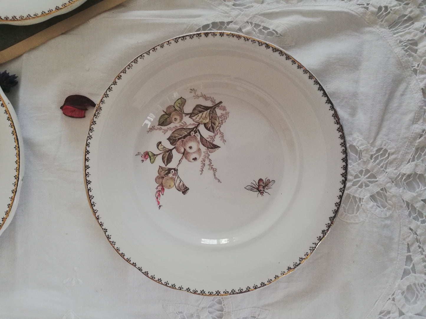 6 Assiettes Dessert Creil et Montereau