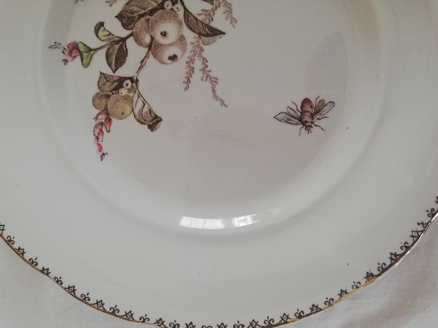 6 Assiettes Dessert Creil et Montereau