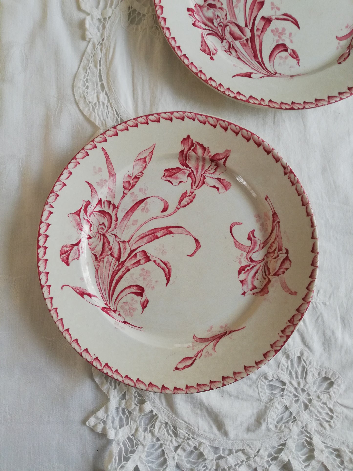 Set mit 2 Iris Badonviller Tellern