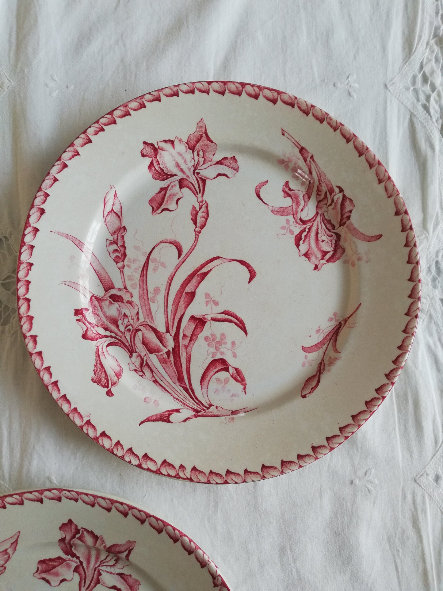 Set mit 2 Iris Badonviller Tellern