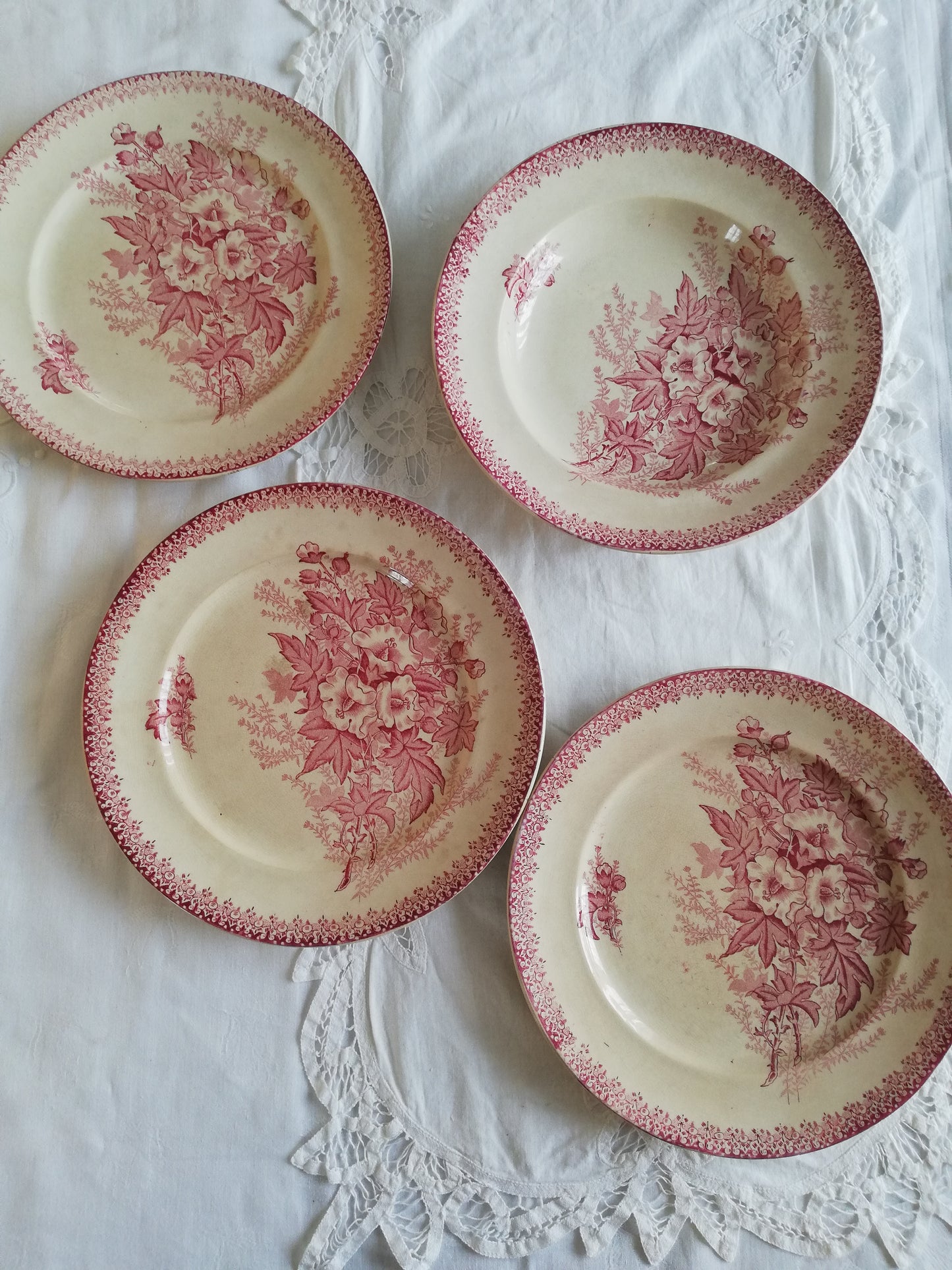 Assiette Eglantine Onnaing Terre de Fer Rose