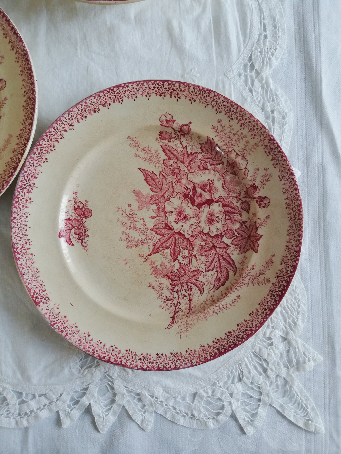 Assiette Eglantine Onnaing Terre de Fer Rose