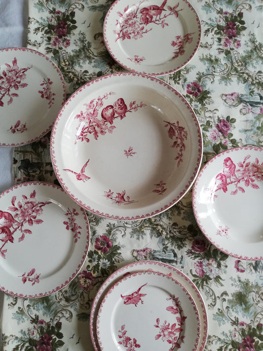 Grand plat creux Favori Sarreguemines