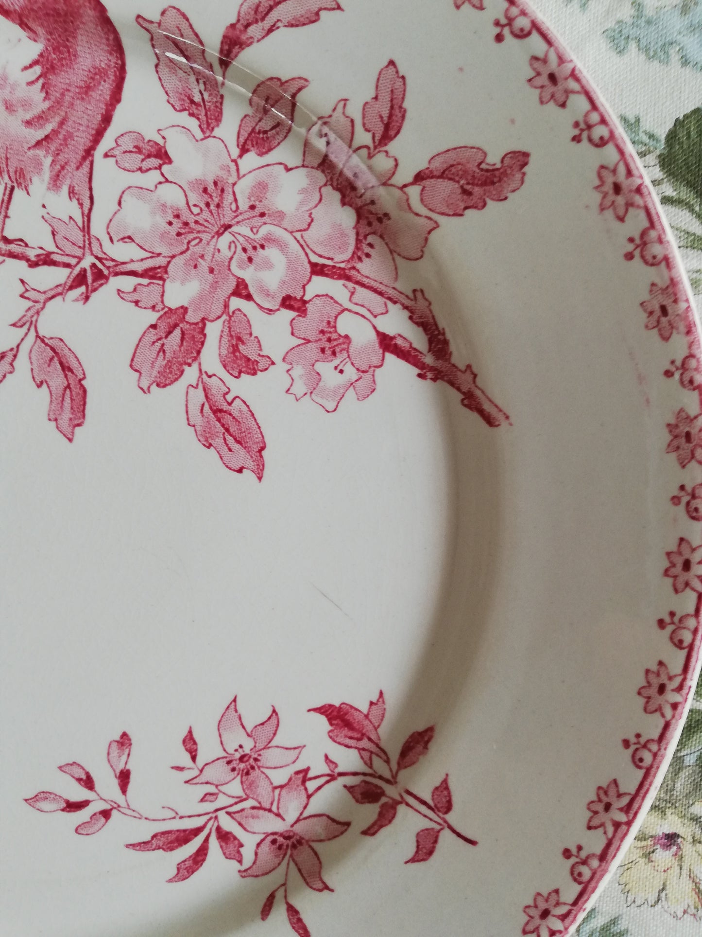 Assiette Favori Sarreguemines