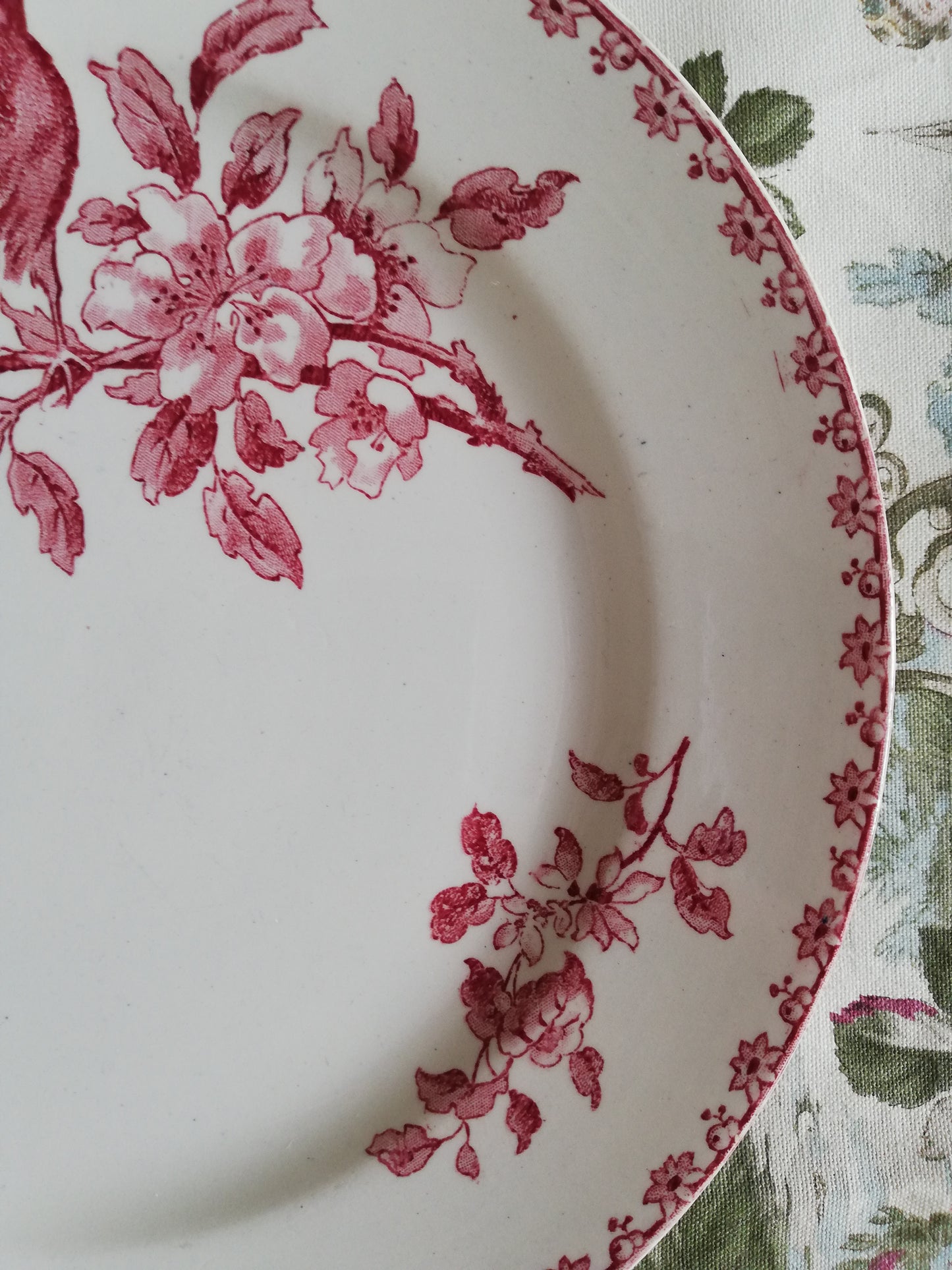Assiette Favori Sarreguemines