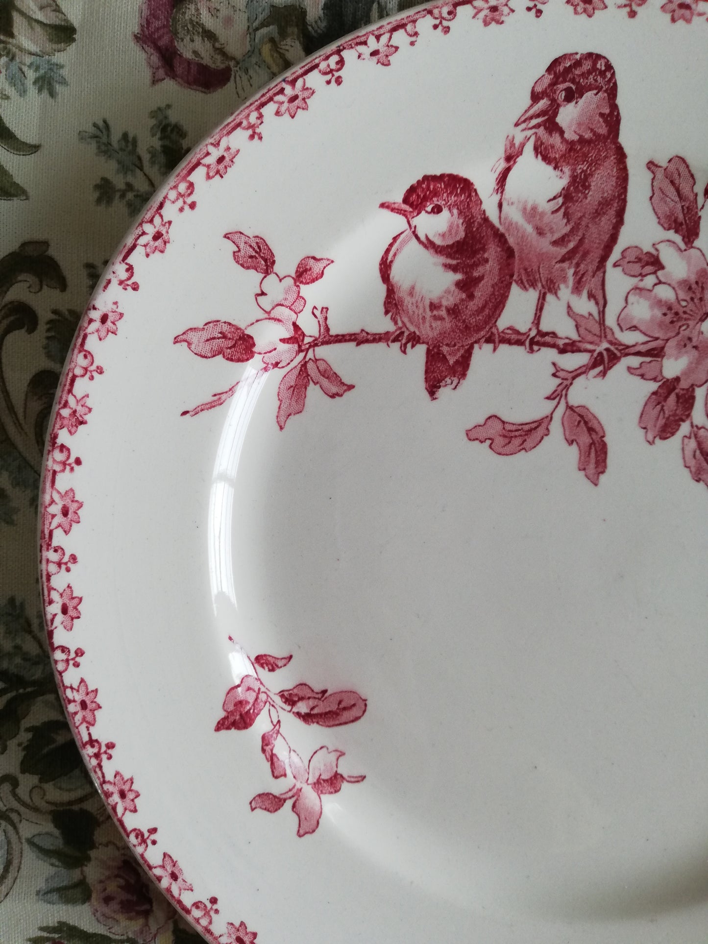 Assiette Favori Sarreguemines