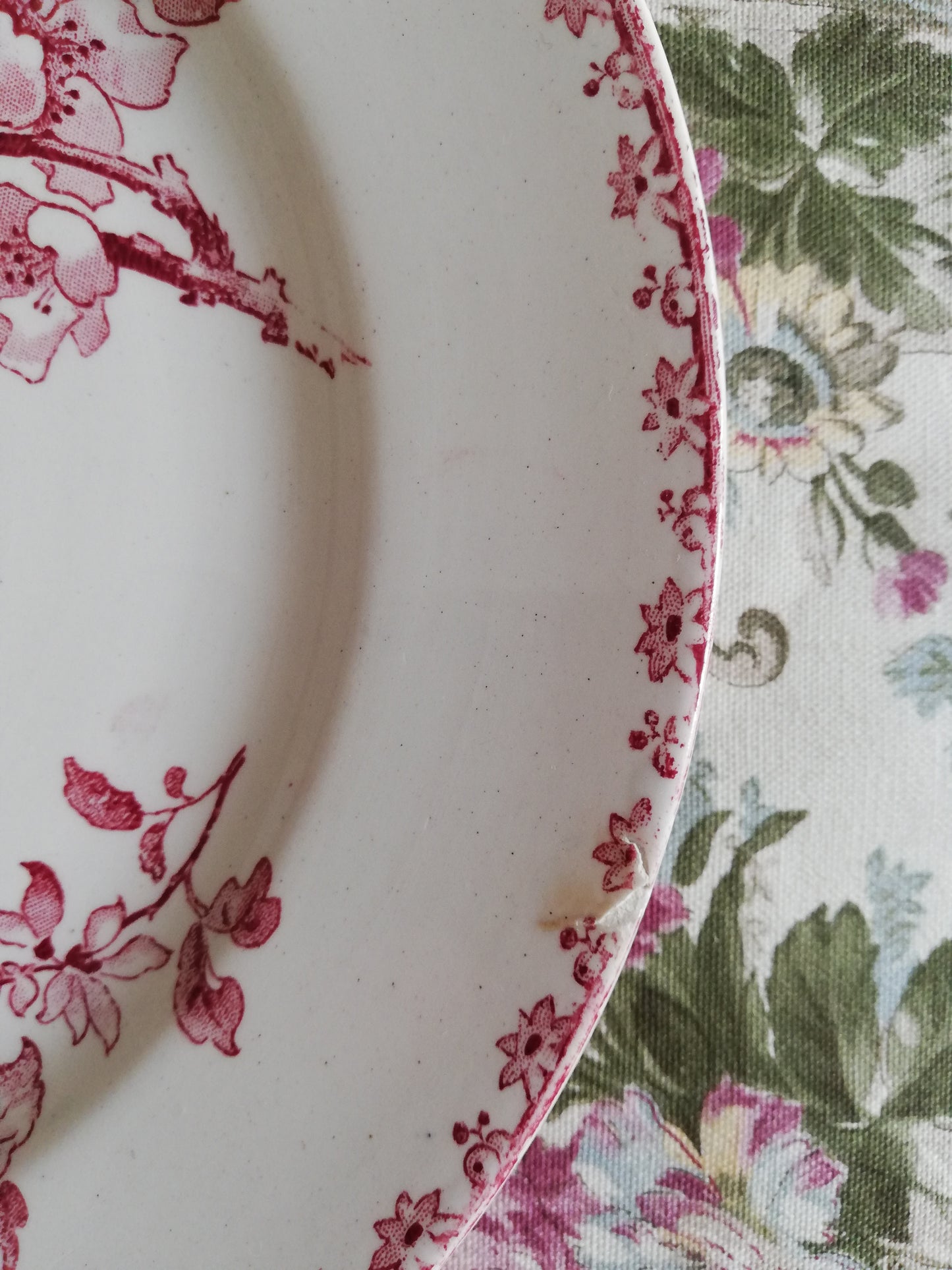 Assiette Favori Sarreguemines