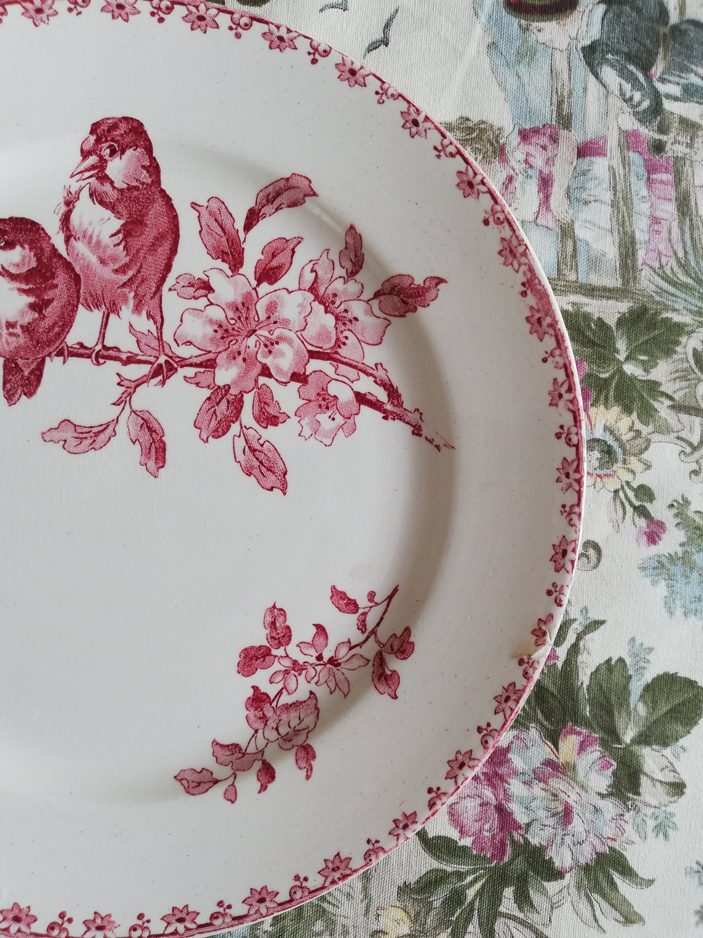 Assiette Favori Sarreguemines