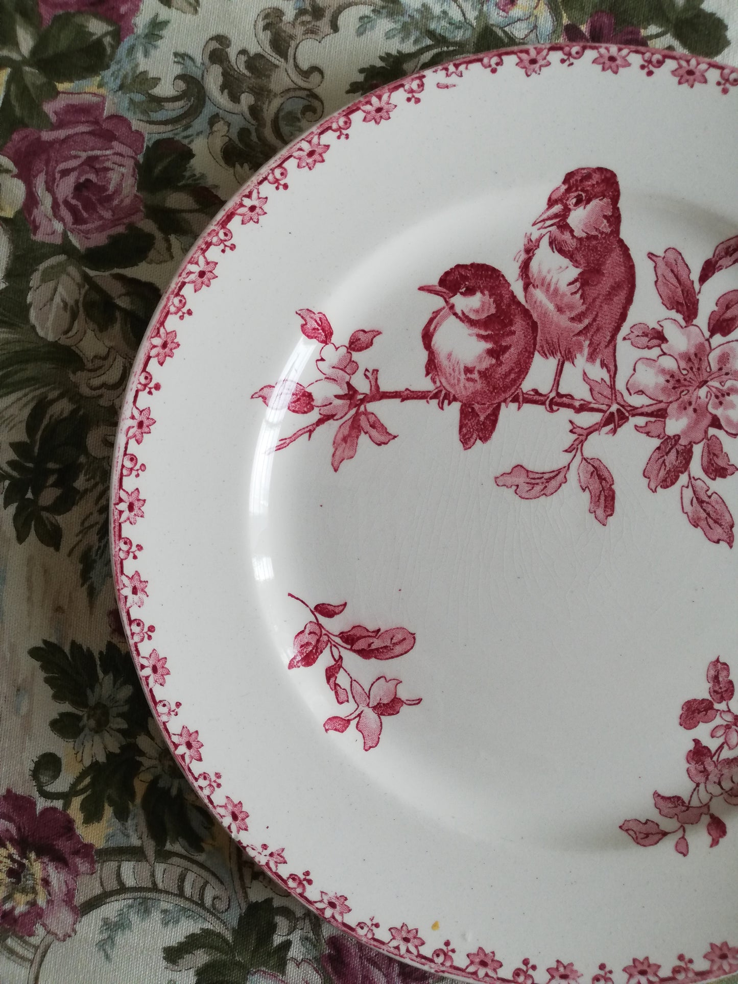 Assiette Favori Sarreguemines
