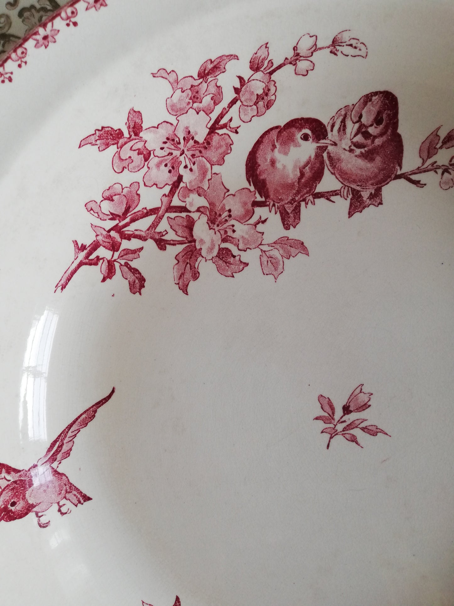 Grand plat creux Favori Sarreguemines
