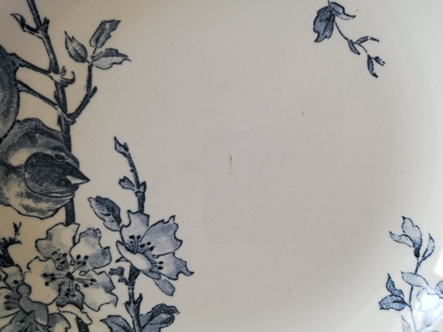 Assiettes Favori Sarreguemines x 3