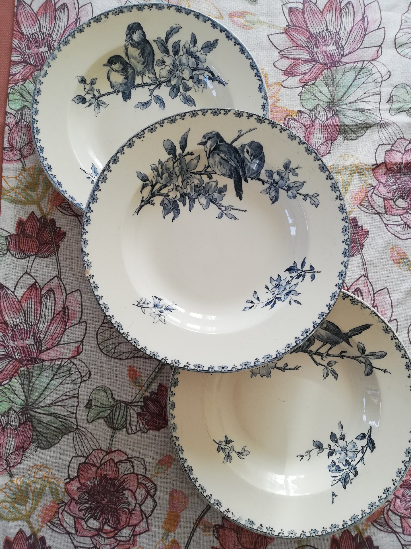 Assiettes Favori Sarreguemines x 3