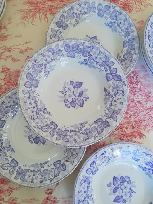 Assiette Creuse Ronce Terre de fer Violette BFK