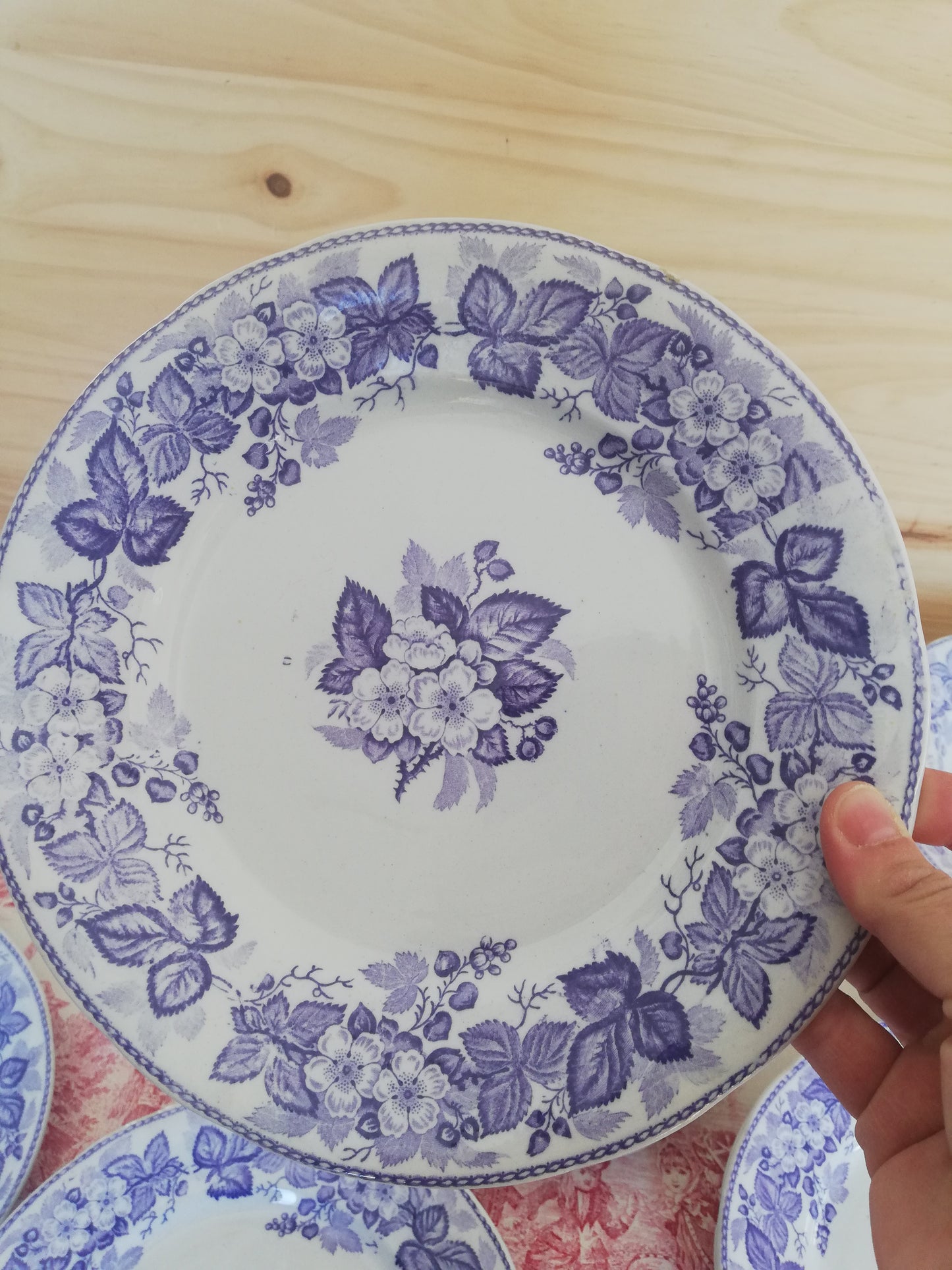 Assiette Ronce Terre de fer Violette BFK