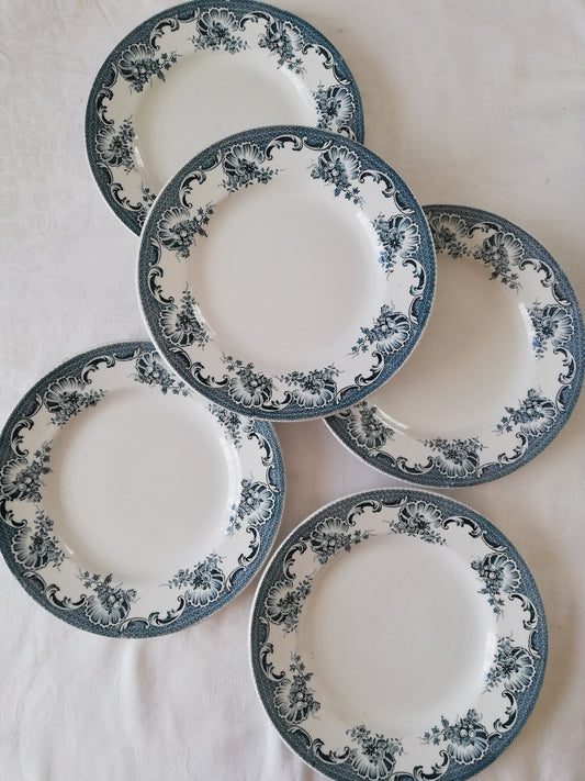 Assiette La vallière Saint Amand et Hamage