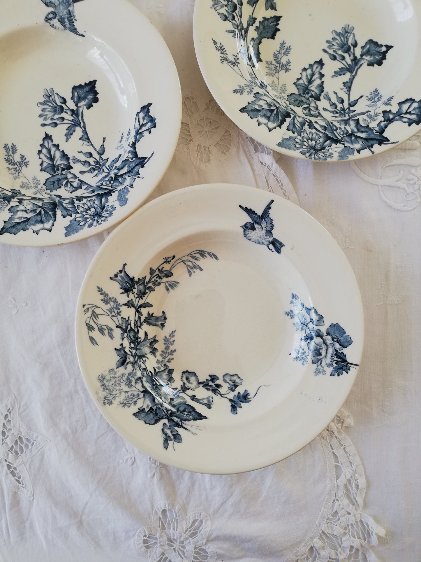 Assiette creuse Botanique Longwy