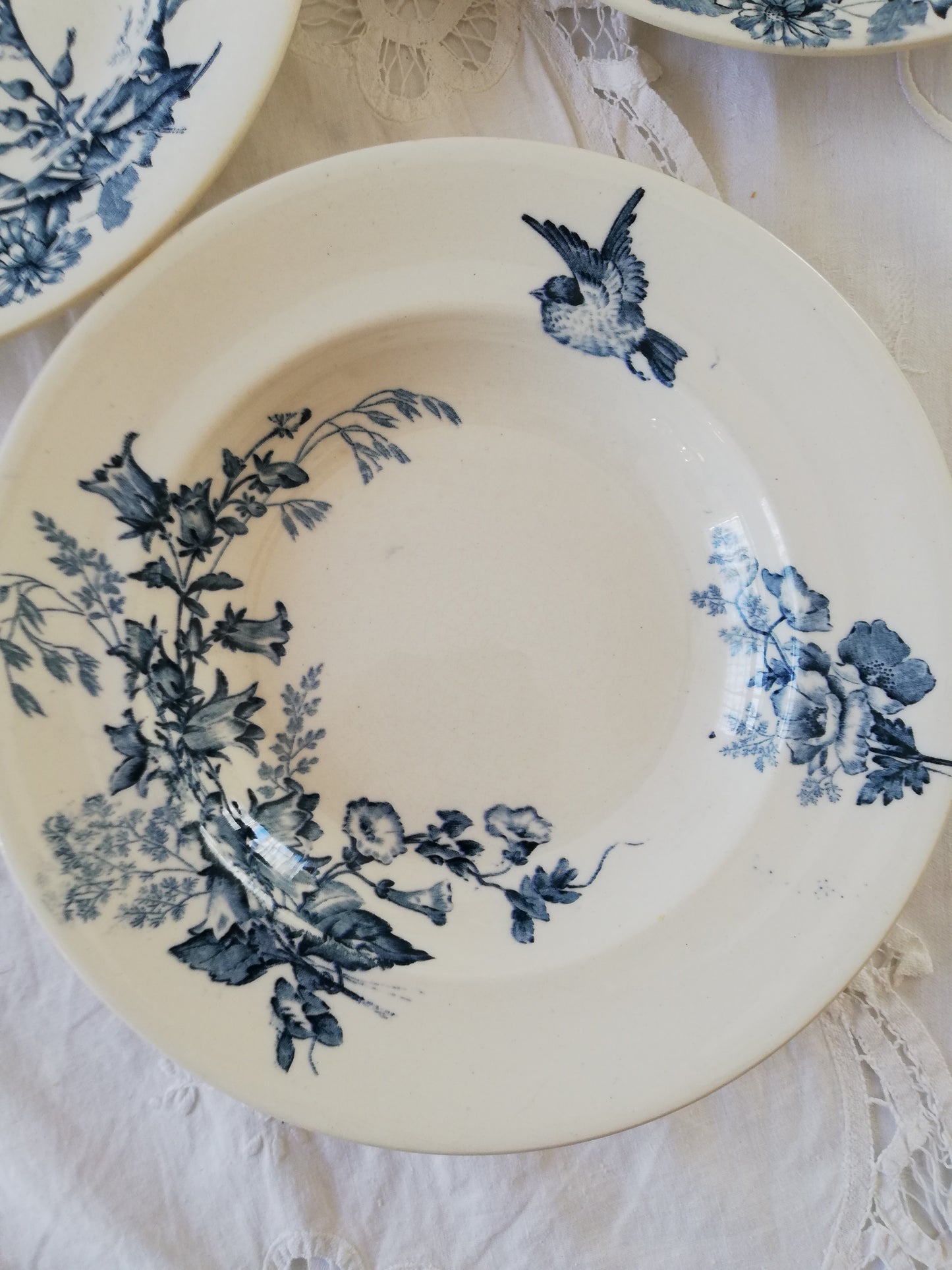 Assiette creuse Botanique Longwy