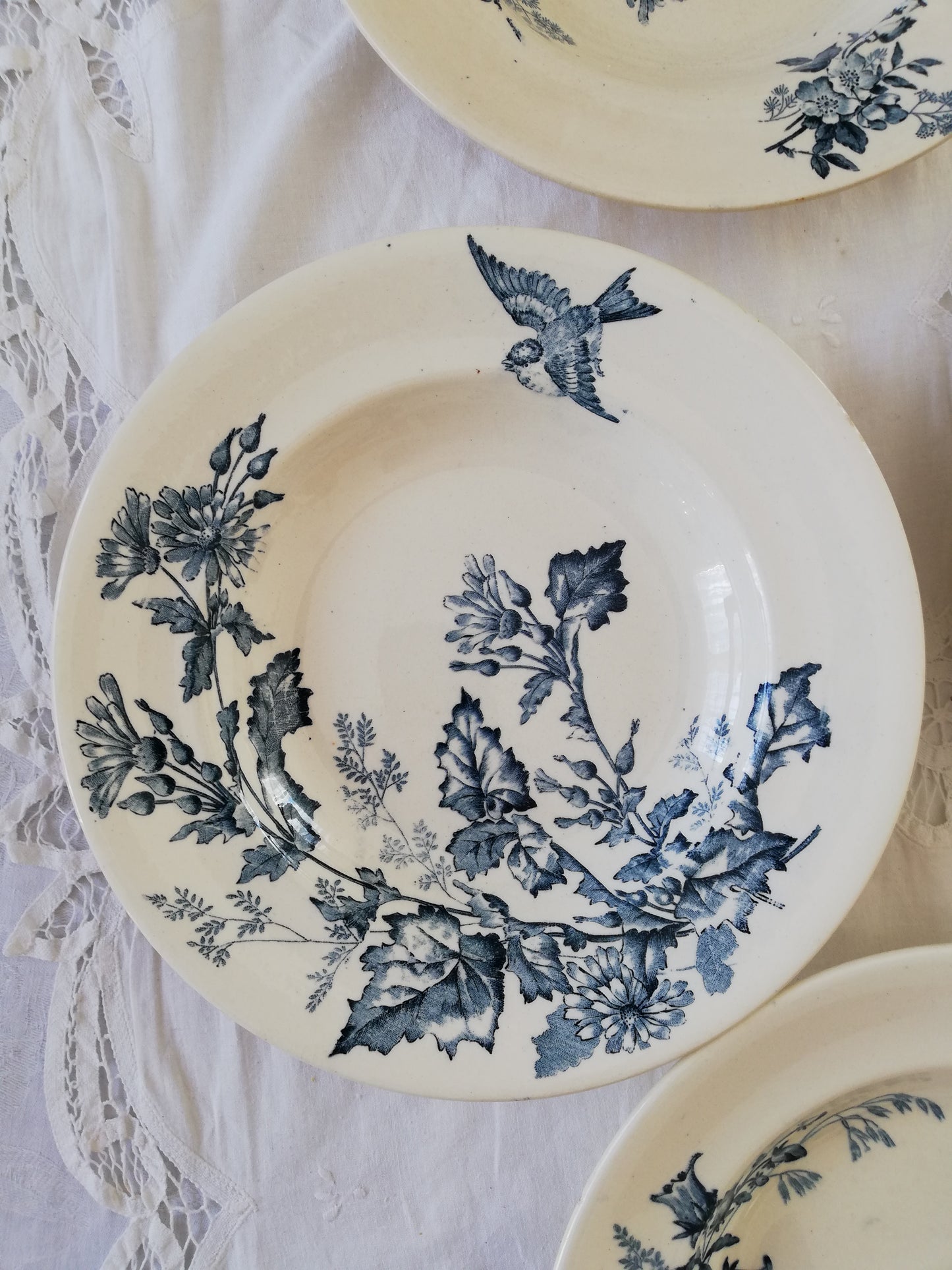 Assiette creuse Botanique Longwy