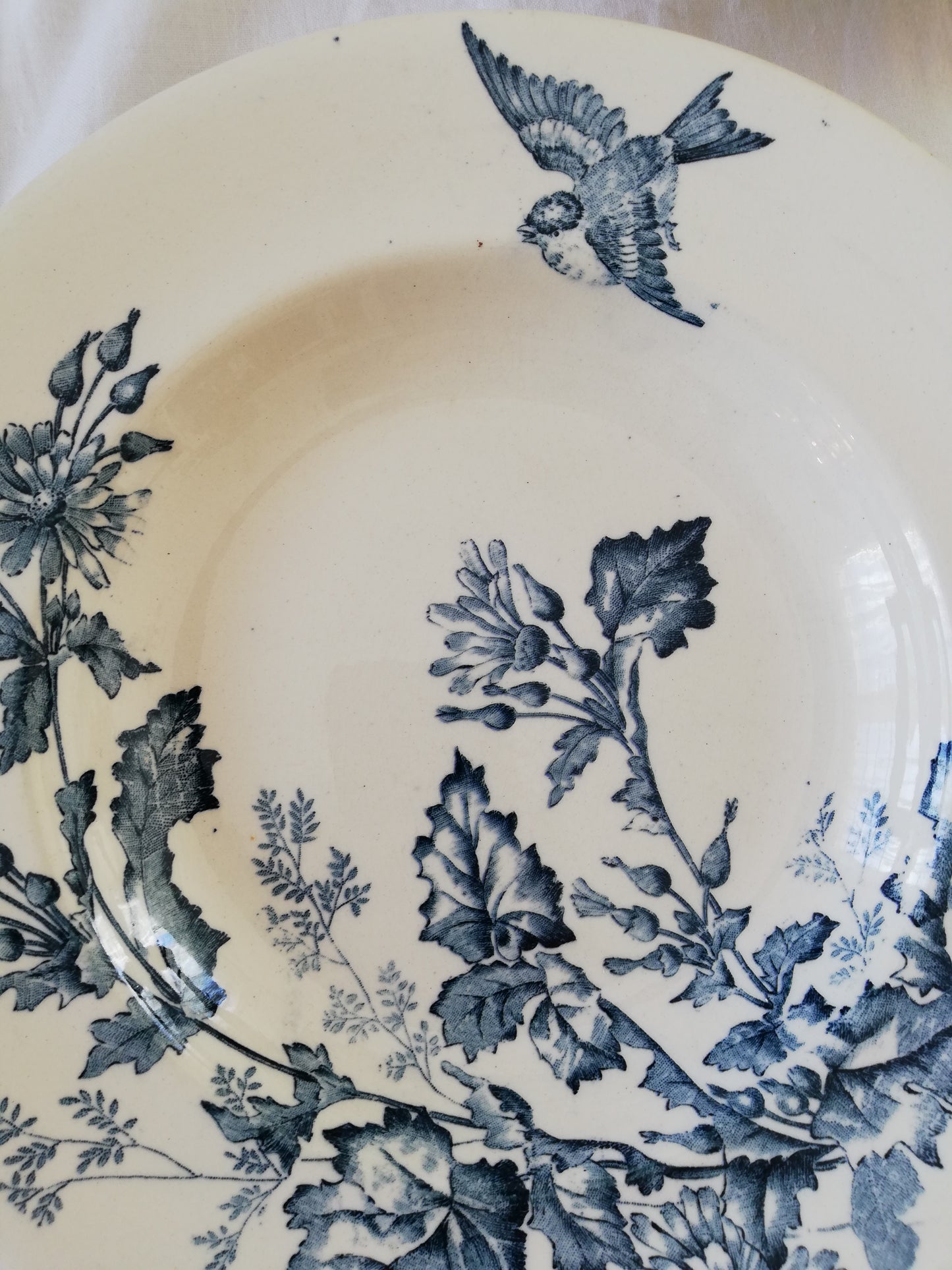 Assiette creuse Botanique Longwy