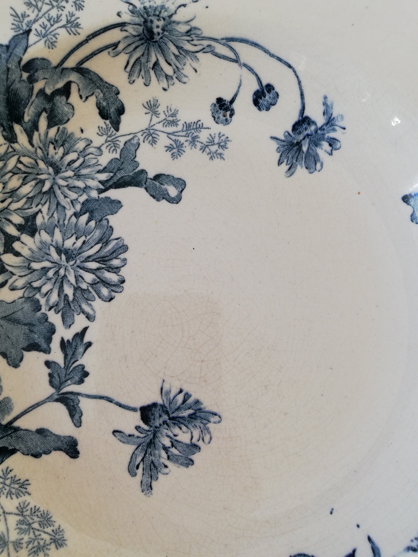 Assiette creuse Botanique Longwy