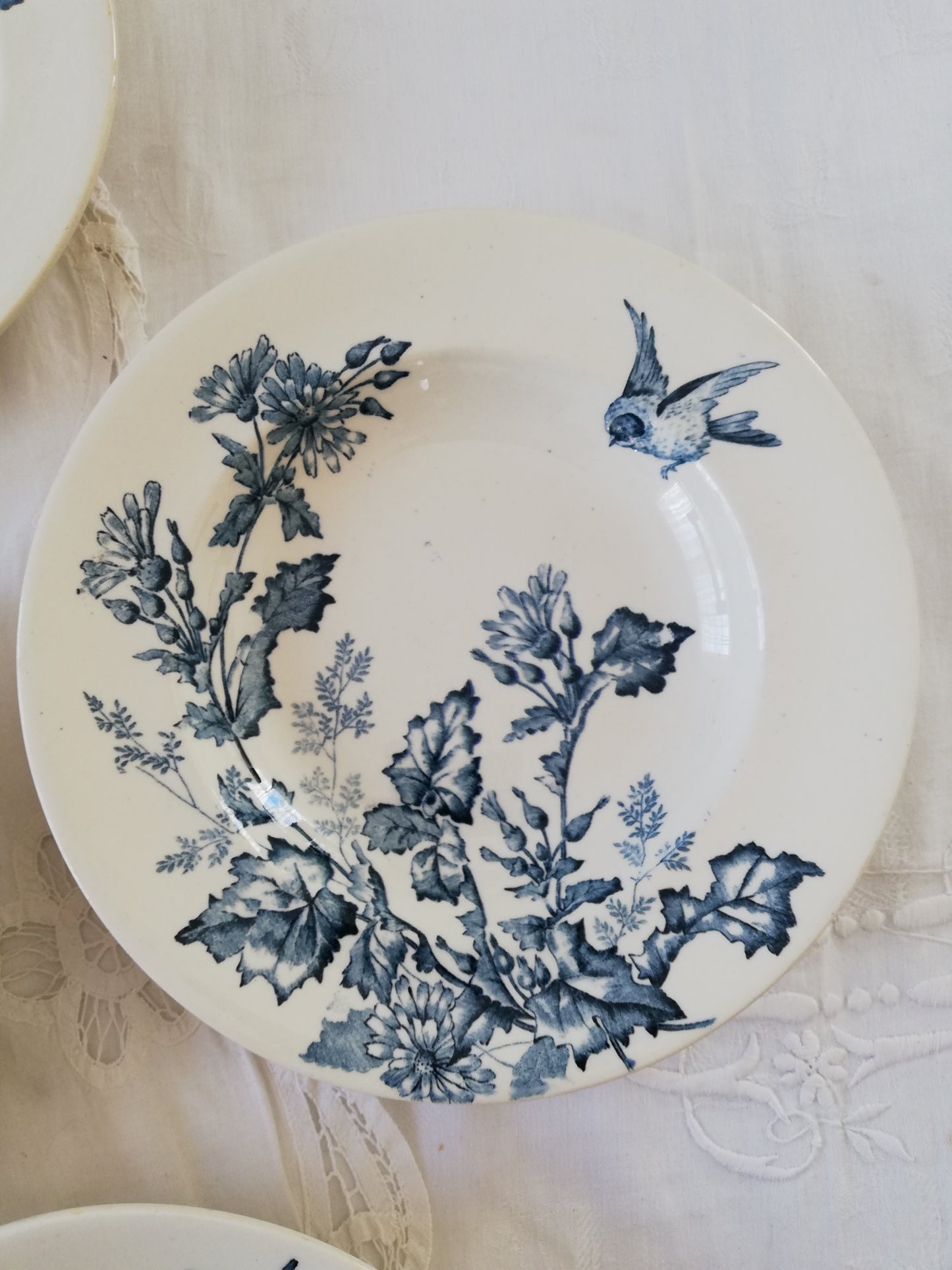 Assiette creuse Botanique Longwy
