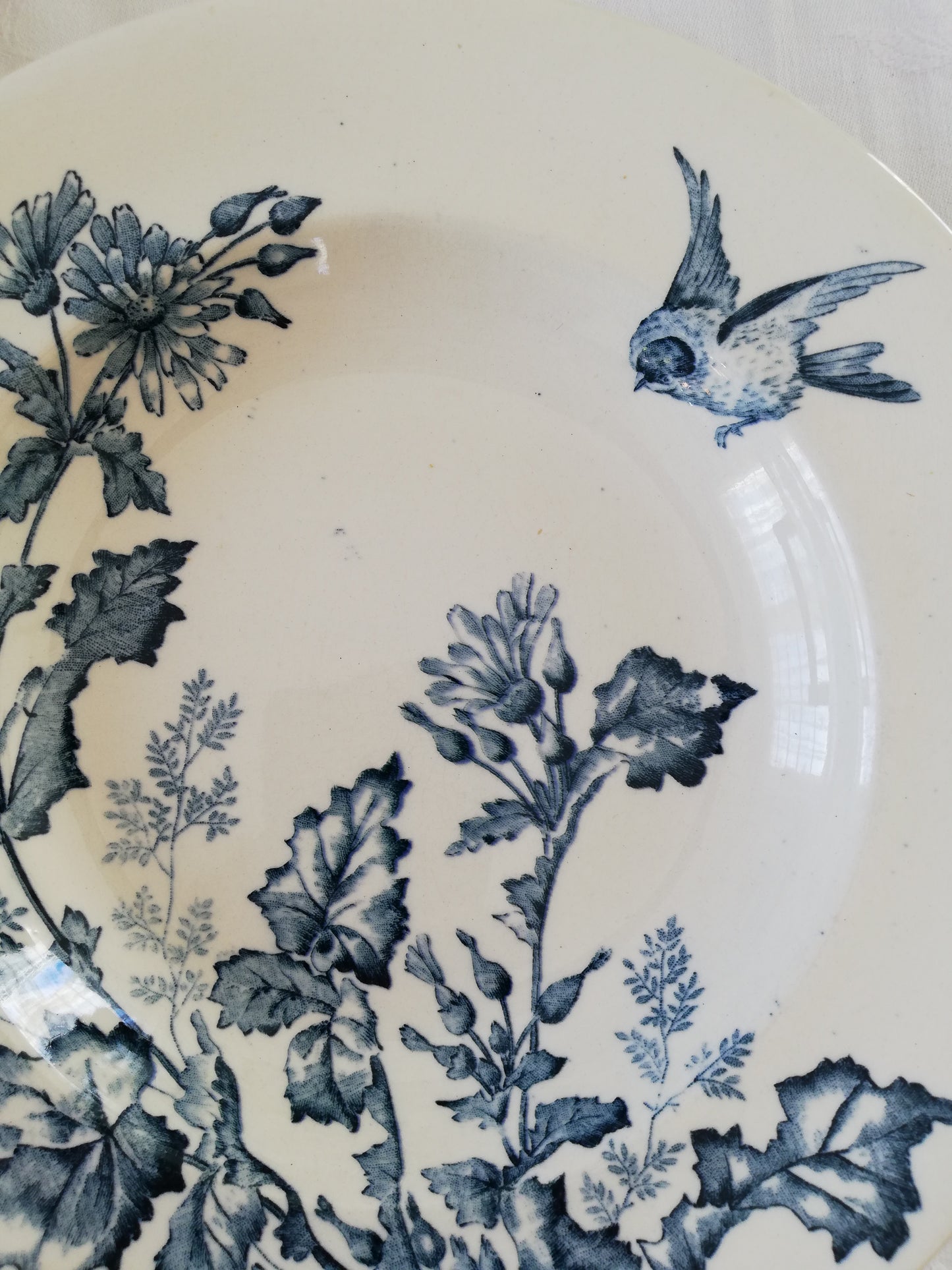 Assiette creuse Botanique Longwy