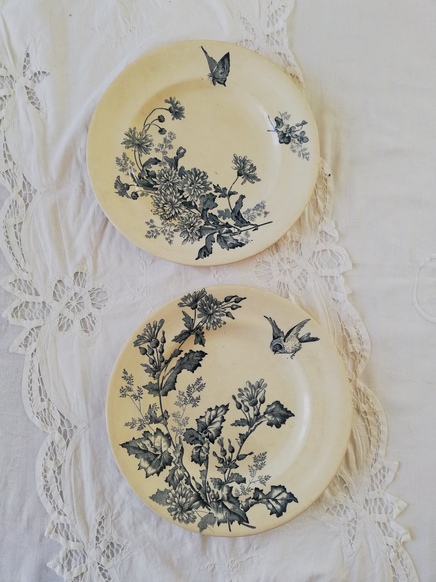 Duo Assiettes Longwy Terre de fer Botanique