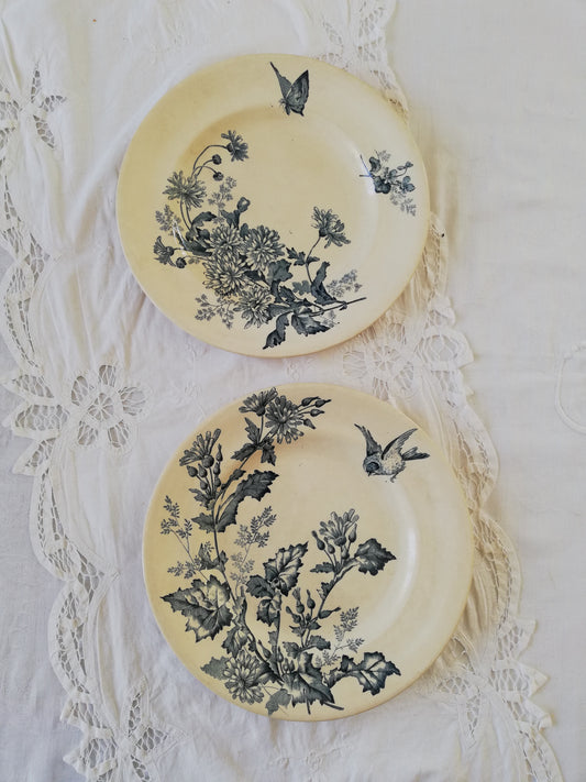 Duo Assiettes Longwy Terre de fer Botanique