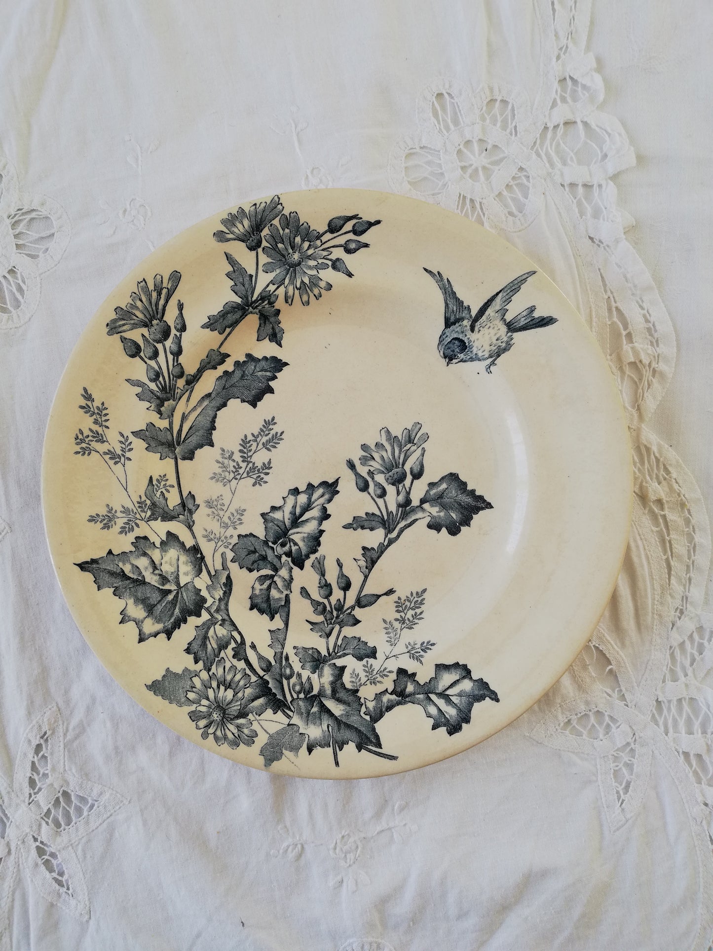 Duo Assiettes Longwy Terre de fer Botanique