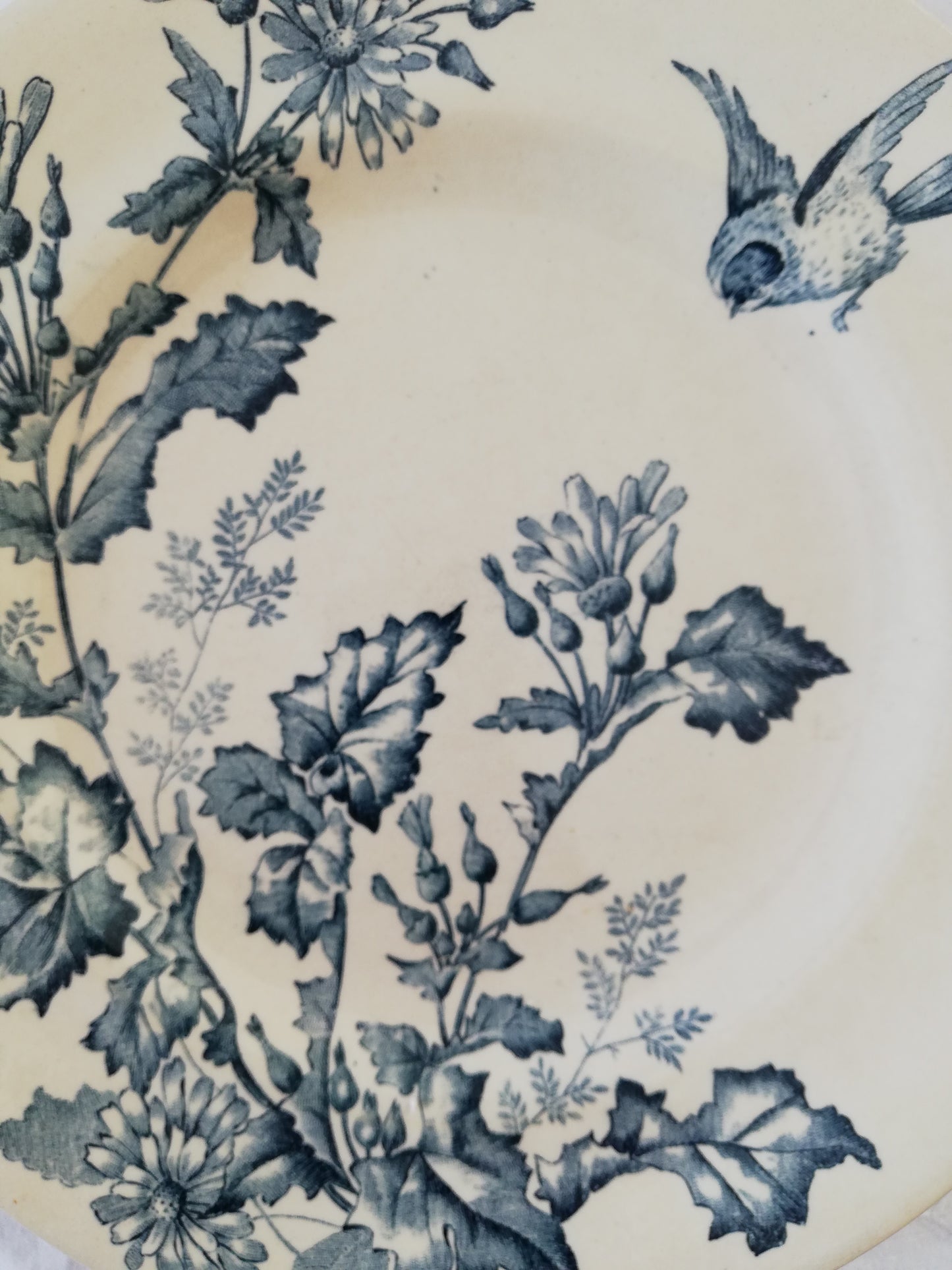 Duo Assiettes Longwy Terre de fer Botanique